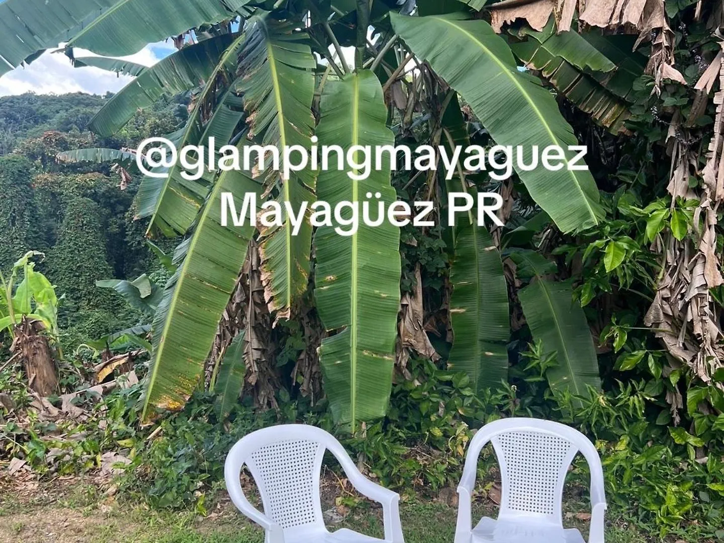 Glamping Mayaguez Just For 2 0*,  波多黎各