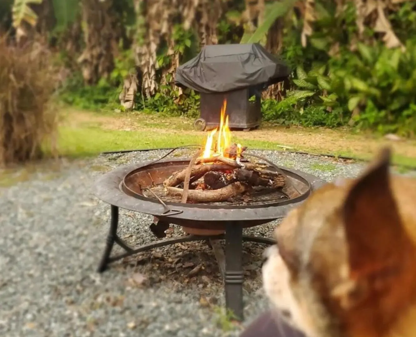 Glamping Mayaguez Just For 2 营地